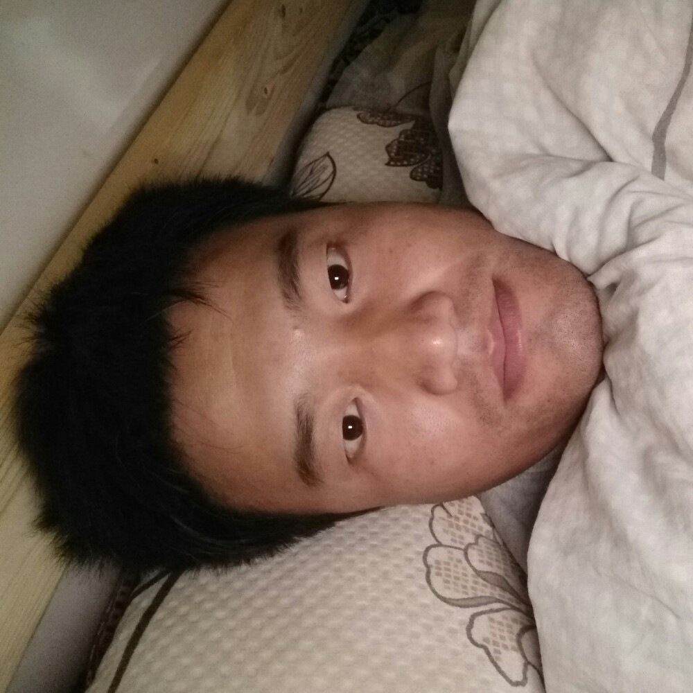 幽默就斑马的照片