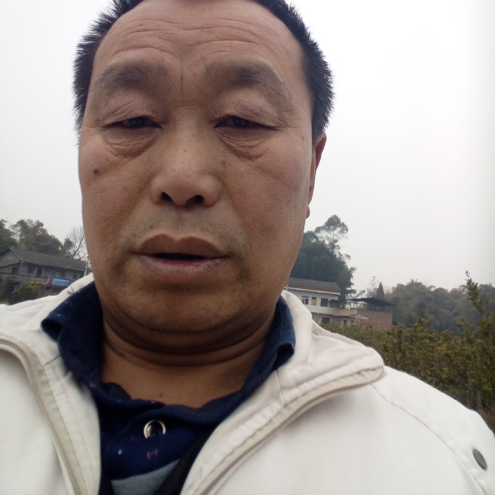 勤奋闻帆布鞋的照片