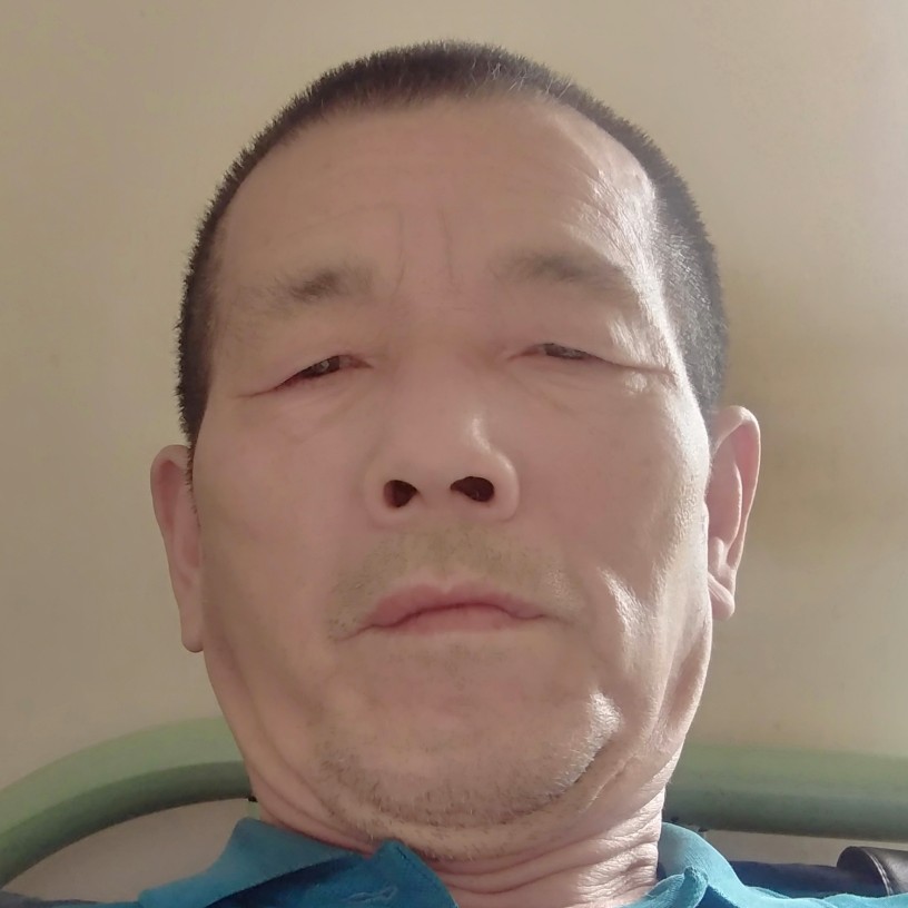 白猫丰富的照片