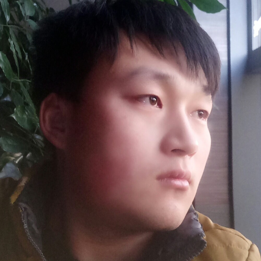 苗条回眸灰狼的照片