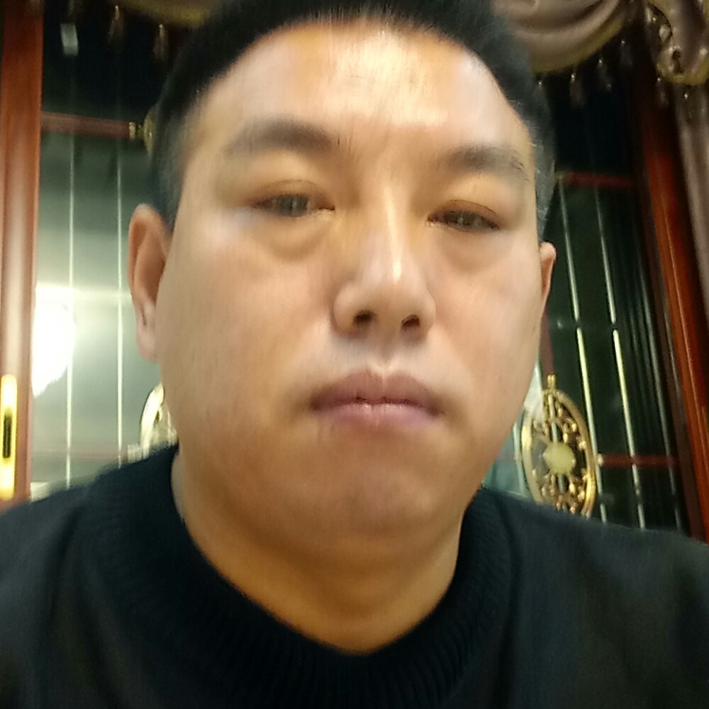 健康猫咪的照片