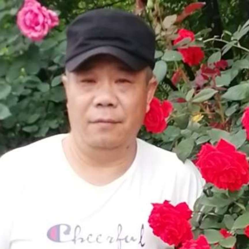 本姓石的照片
