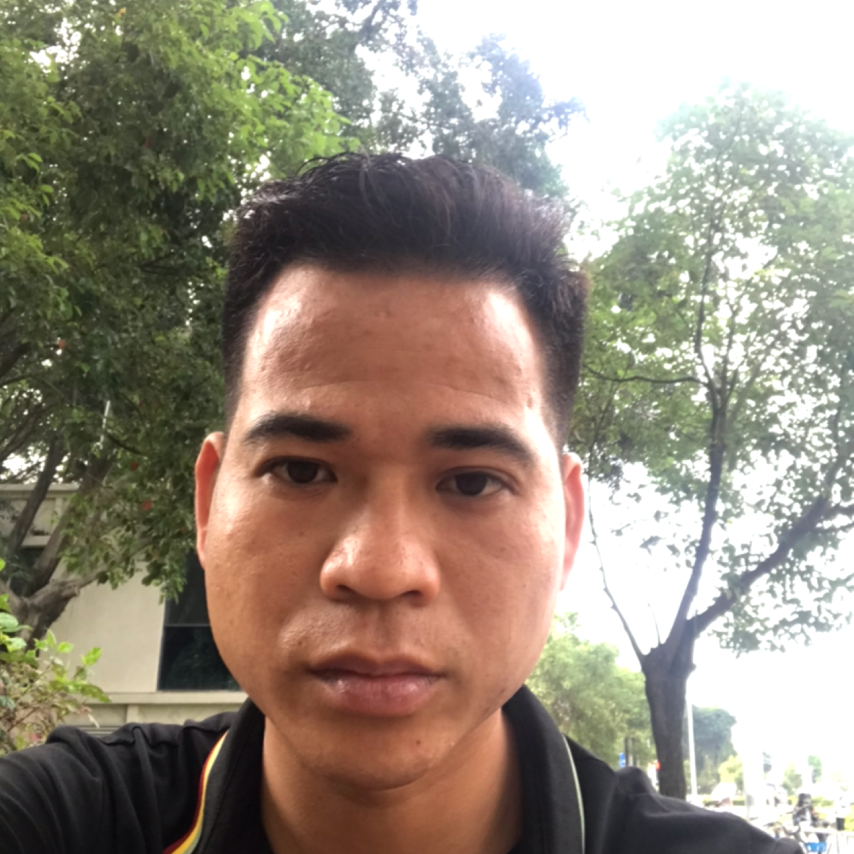 阔达苦恋蜜粉的照片