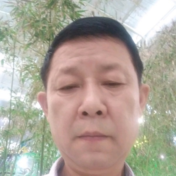 西牛快乐的照片