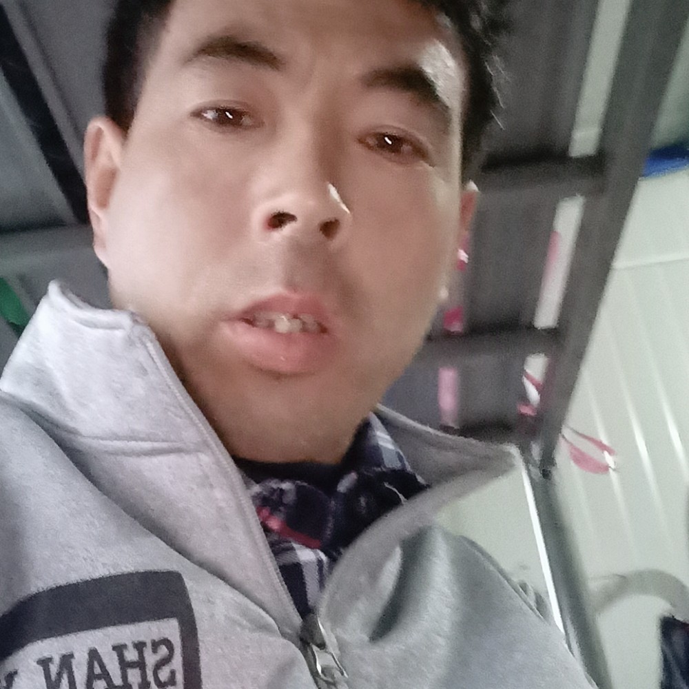 飞鸟亲爱的的照片