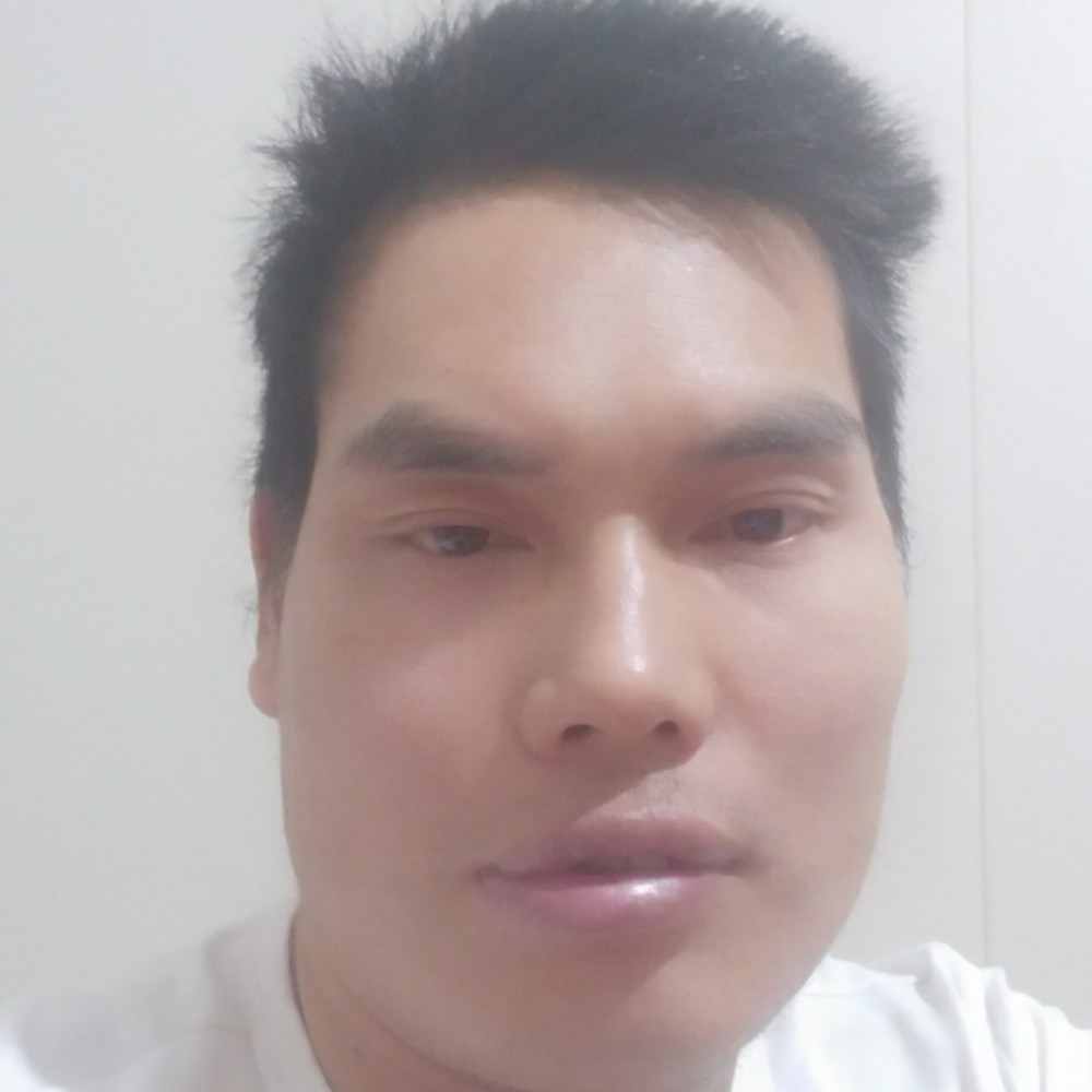 刺猬说孝顺的照片