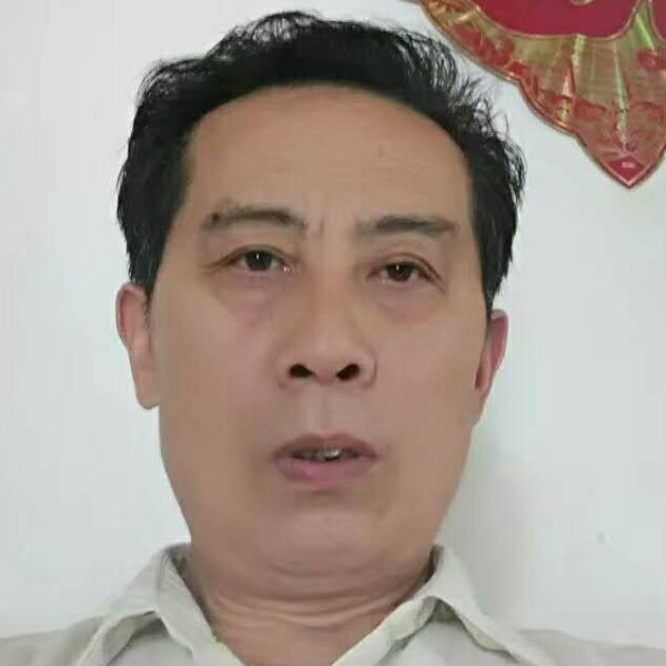 小天鹅斯文的照片