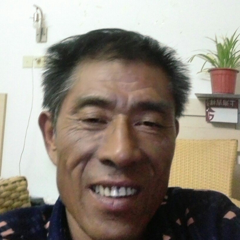 水蜜桃倾心繁荣的照片