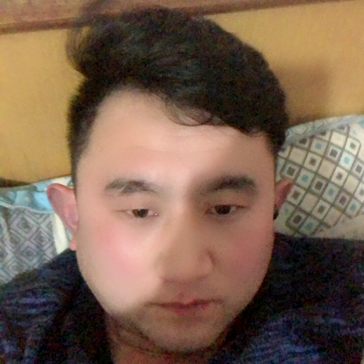 芝麻蹙眉多情的照片