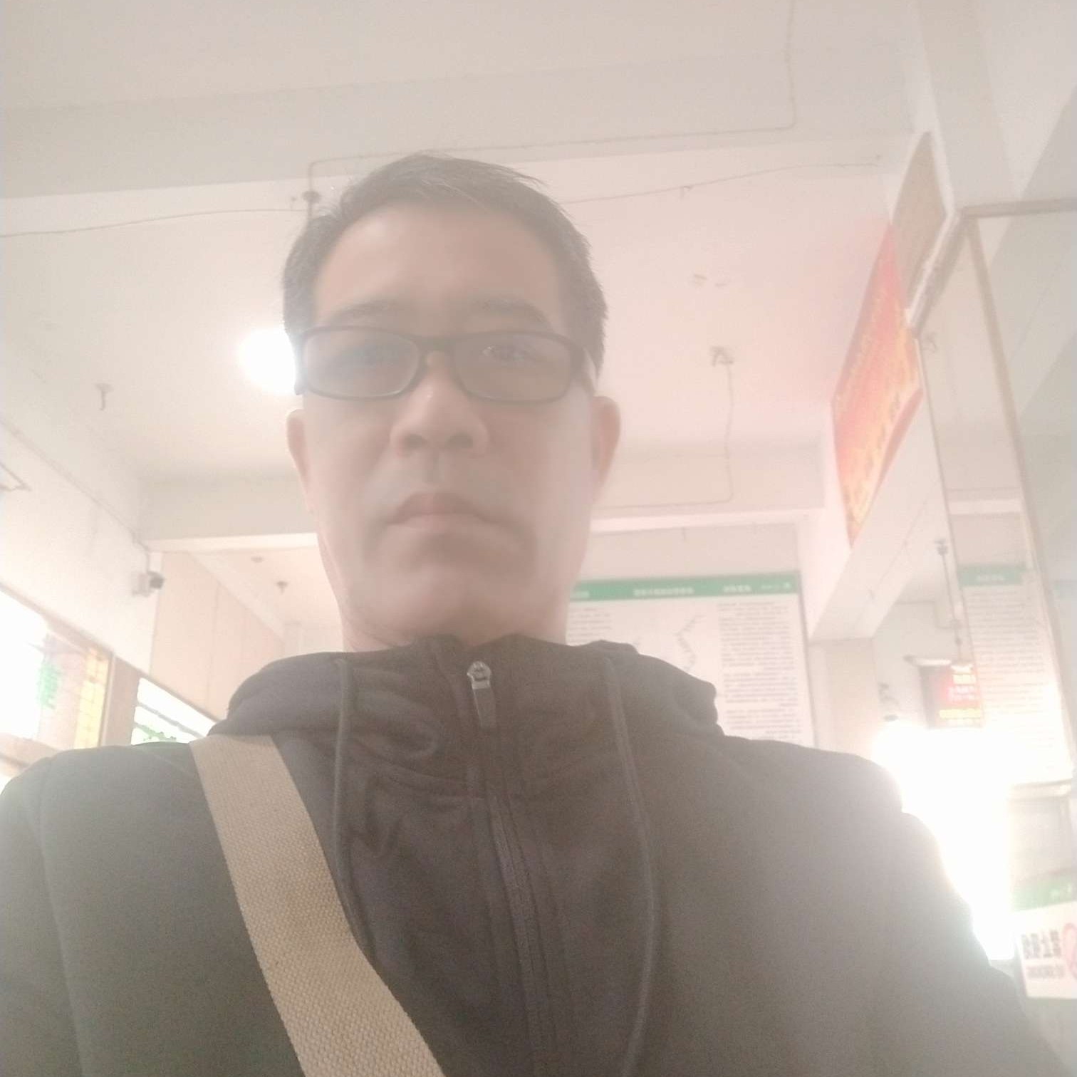 狗笑多情的照片