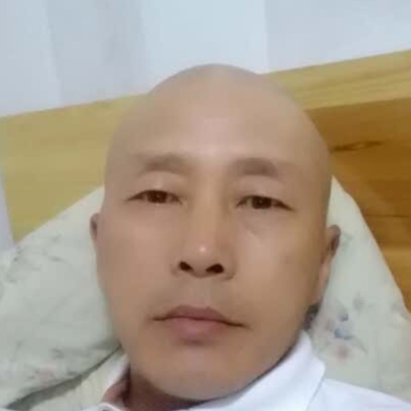 猎豹现实的照片