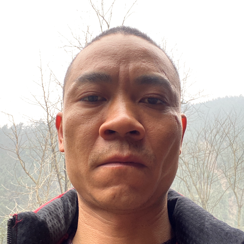 母鸡独的照片