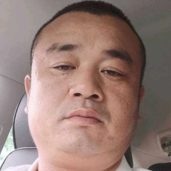 潇洒停止老虎的照片