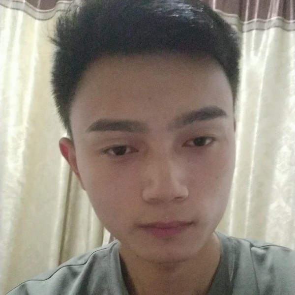 潇洒奇异果。的照片