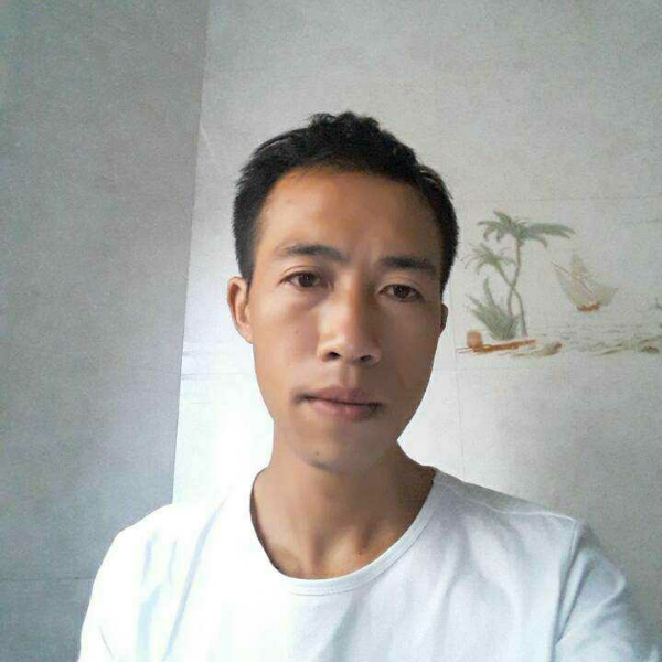 逐风爱背后的照片