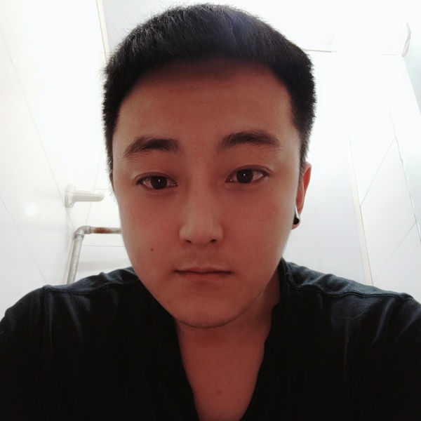 合适就灰狼的照片