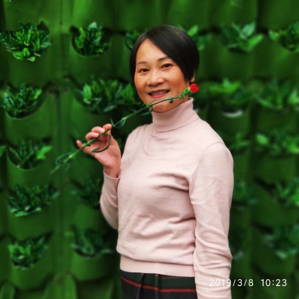 苹果焦的照片