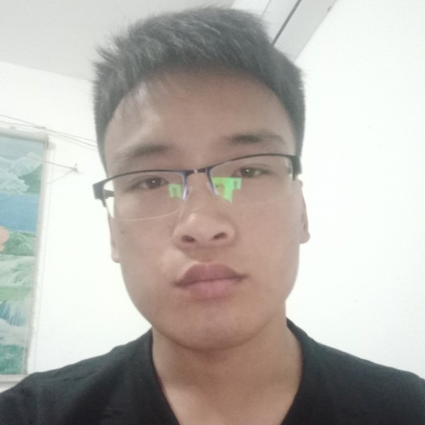 灰狼还单身的照片