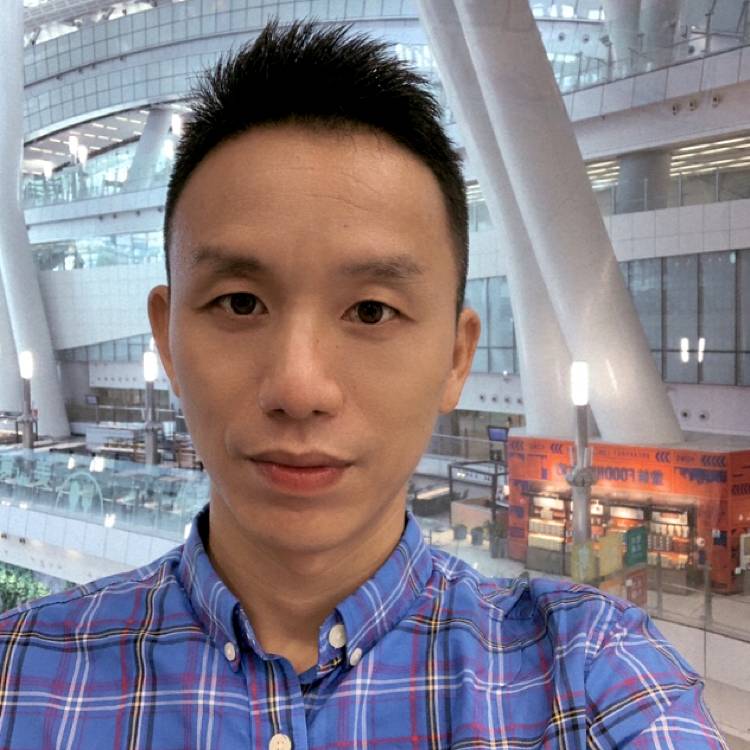 黄蜂邂逅斑驳的照片