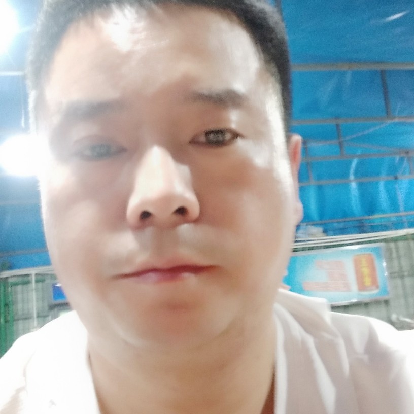 风声话语的照片