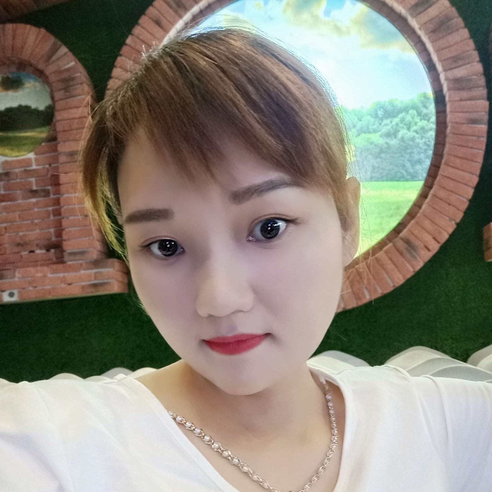 一颗枣树的照片