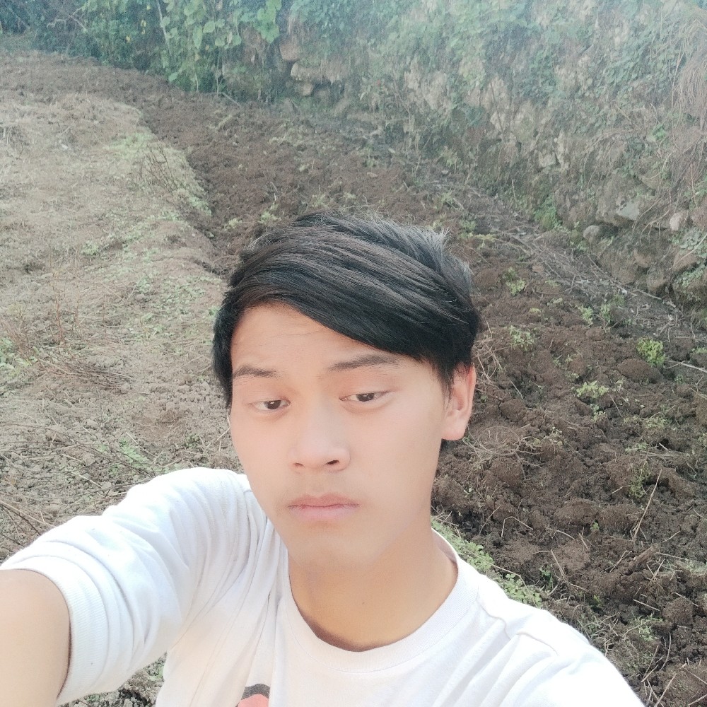 冷风中流浪的照片