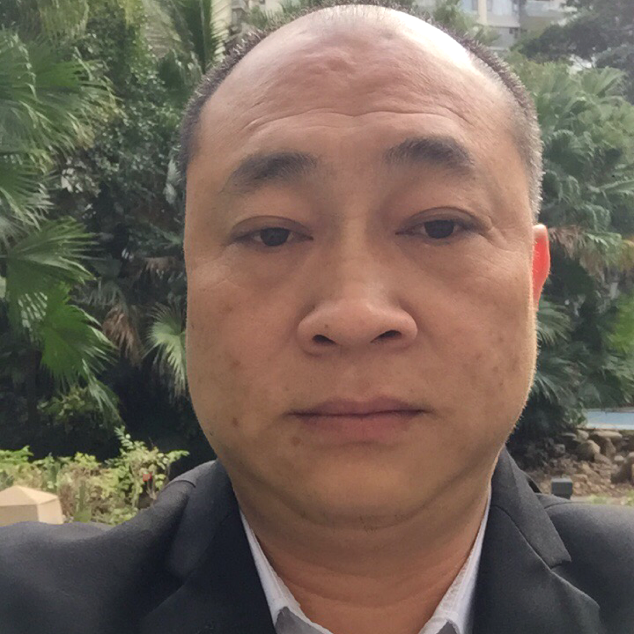 平淡凝眸小白菜的照片