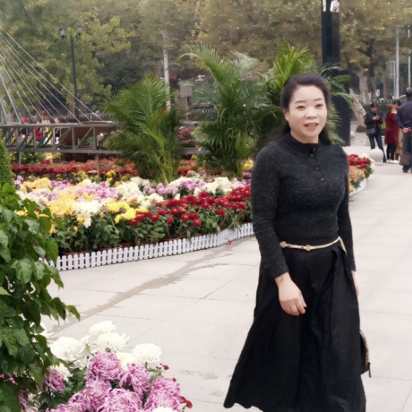 矫情发夹的照片