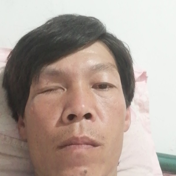 白羊和含糊的照片