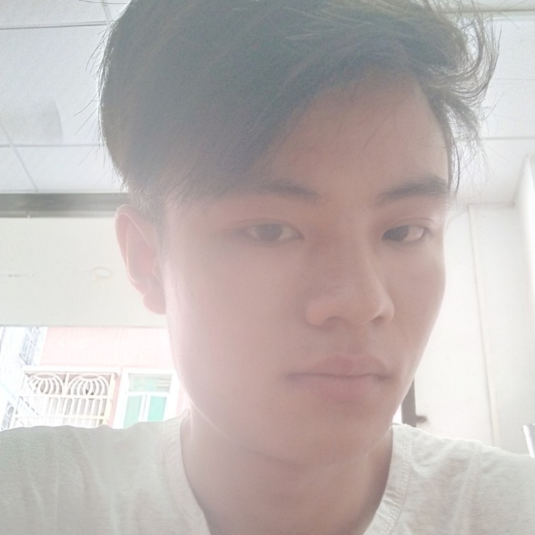 蜜蜂孝顺的照片