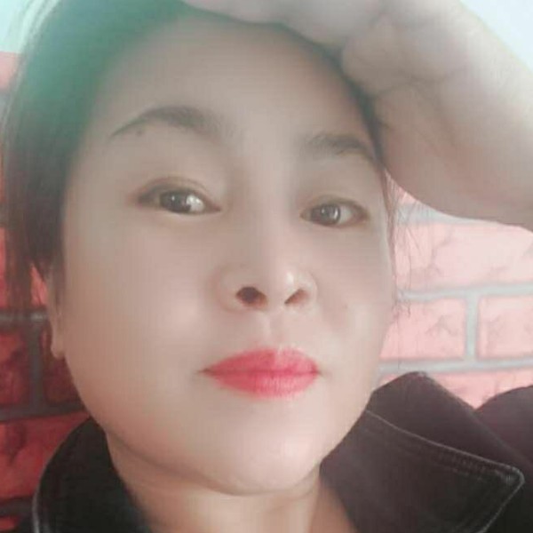金毛还单身陈的照片