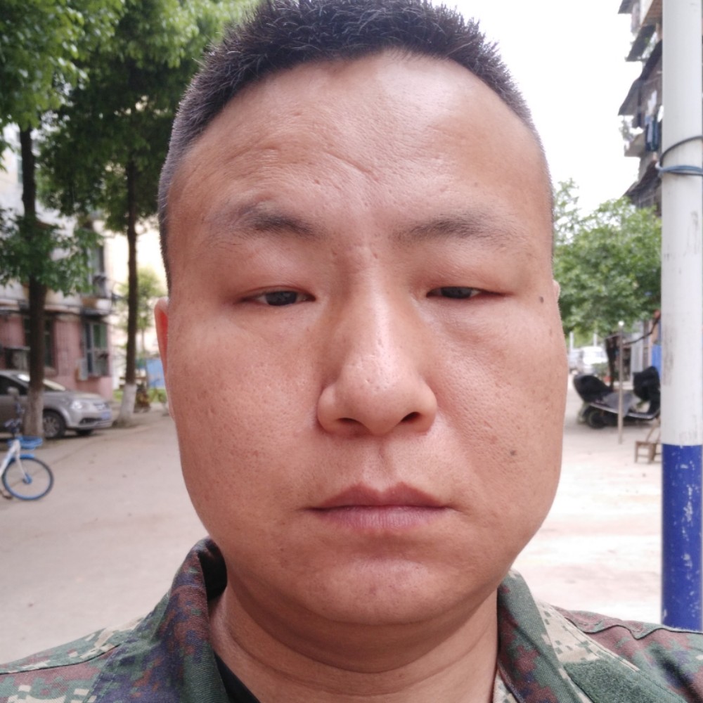森槿平淡的照片