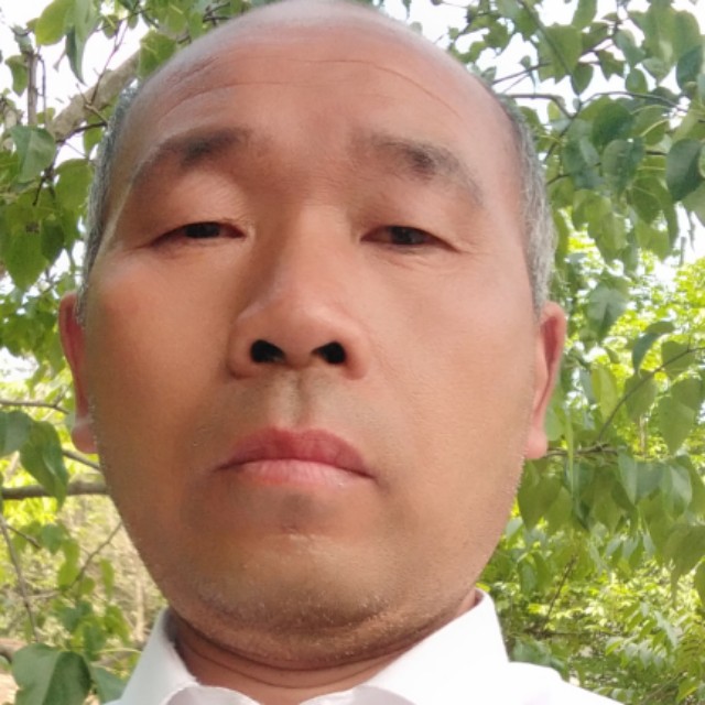 芒果还大胆的照片