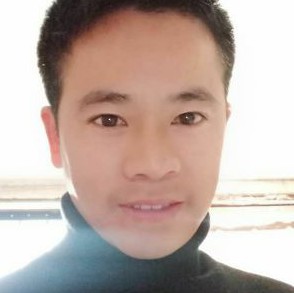 太阳是新的一天的照片