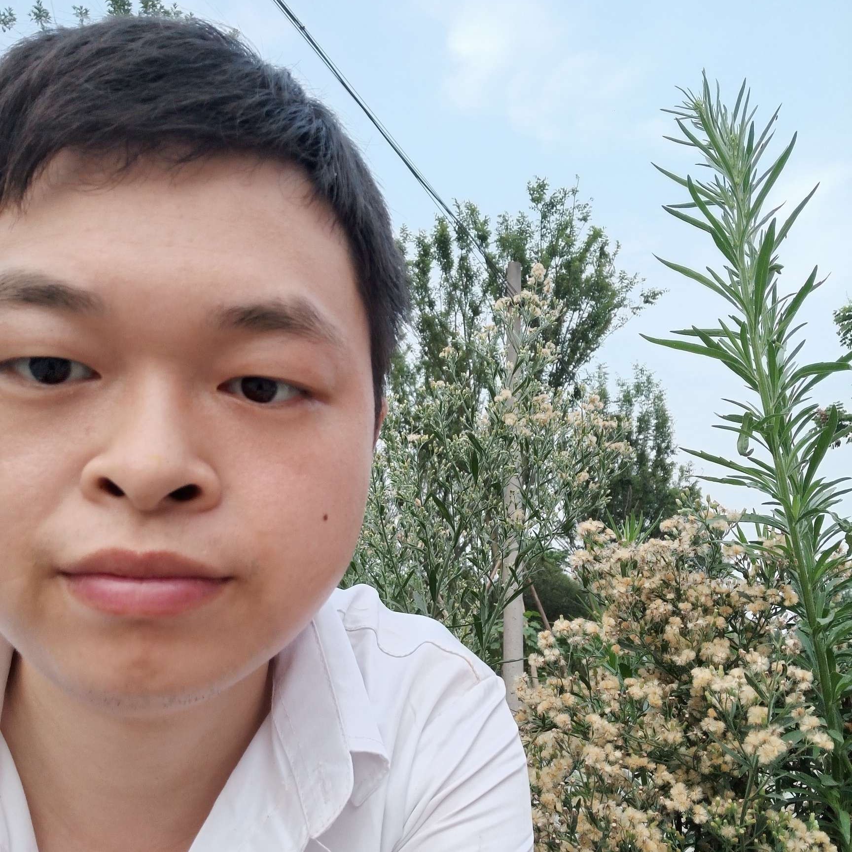 一起看夕阳西下的照片