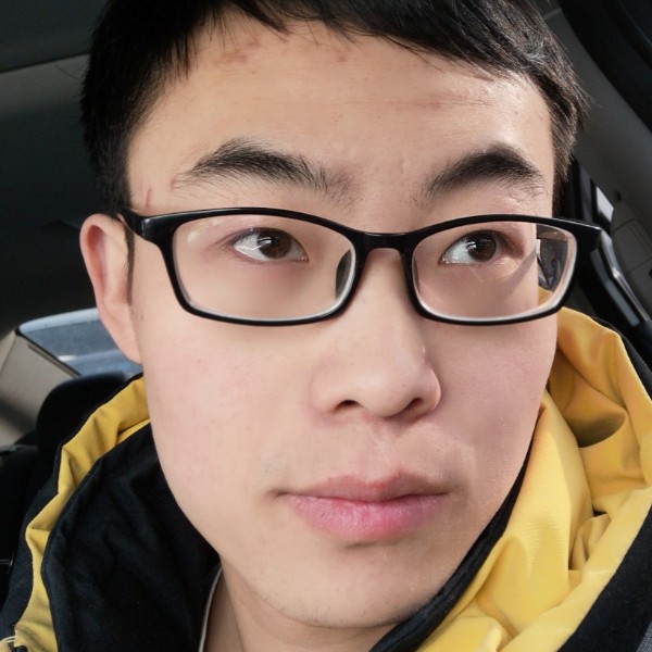梦之森林的照片