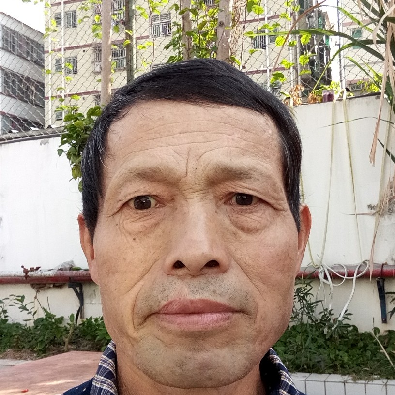 鼠标深拥高兴的照片