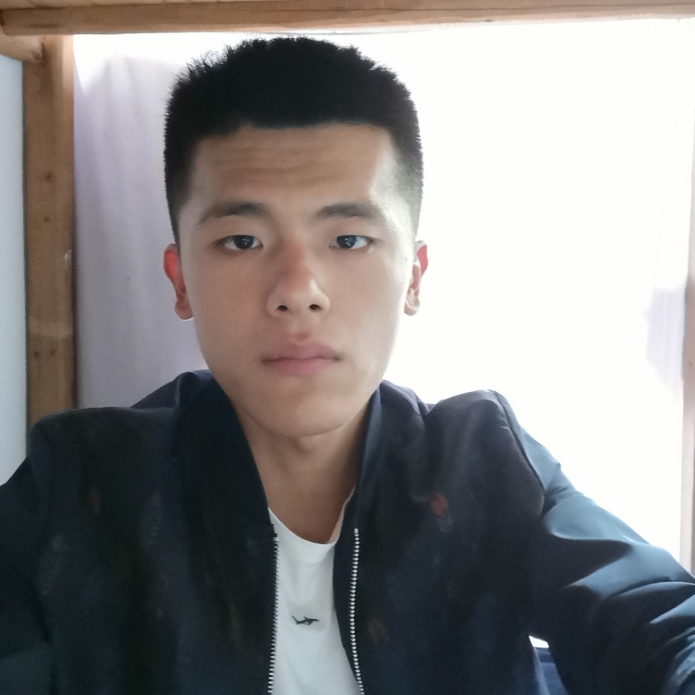背后路灯的照片