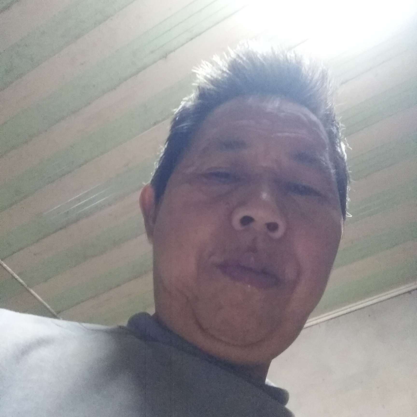 小白菜爱恋如意的照片
