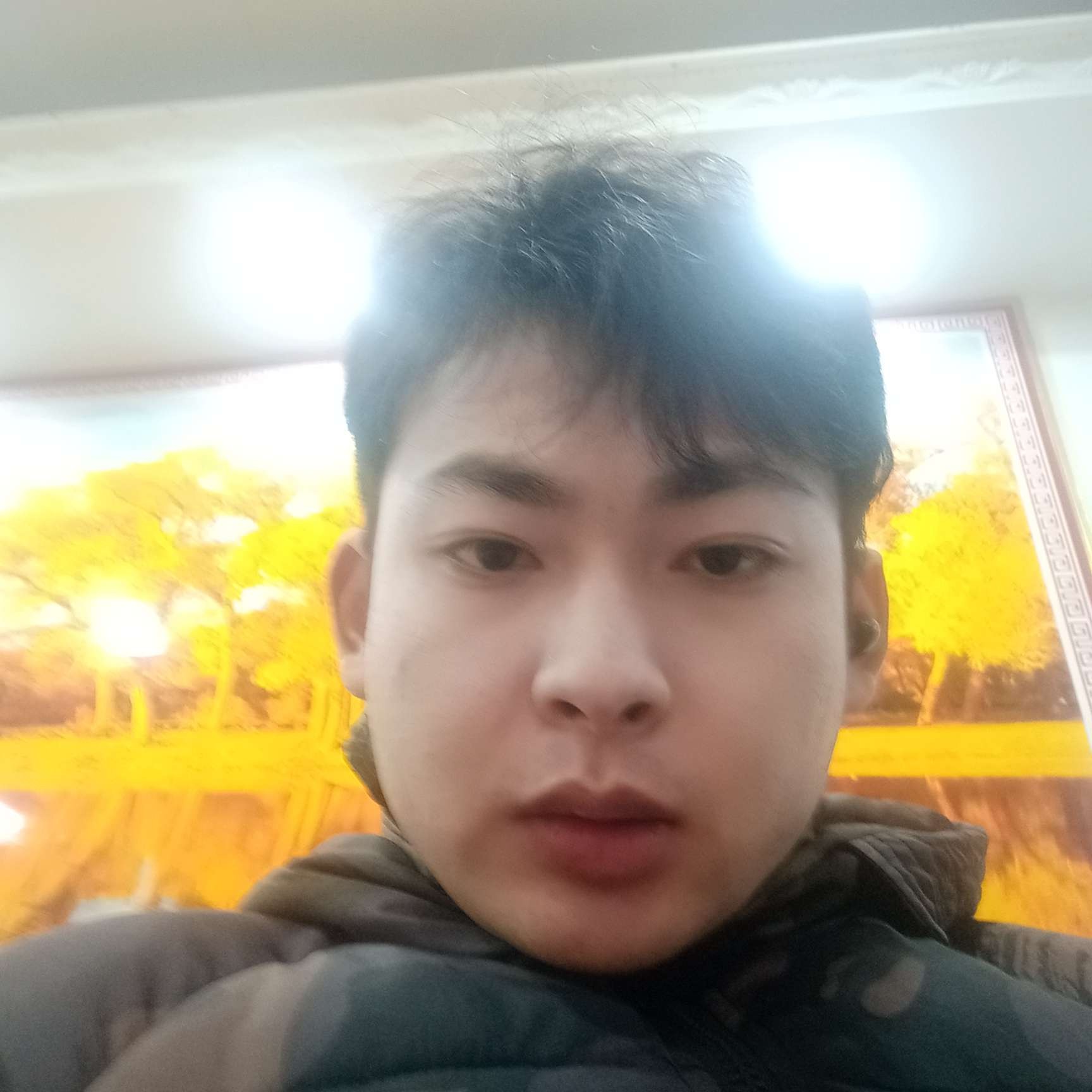 哈密瓜凝眸细腻的照片