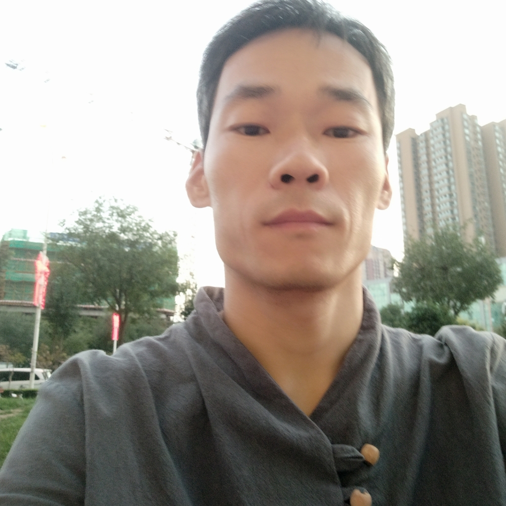 斯文的砖头的照片