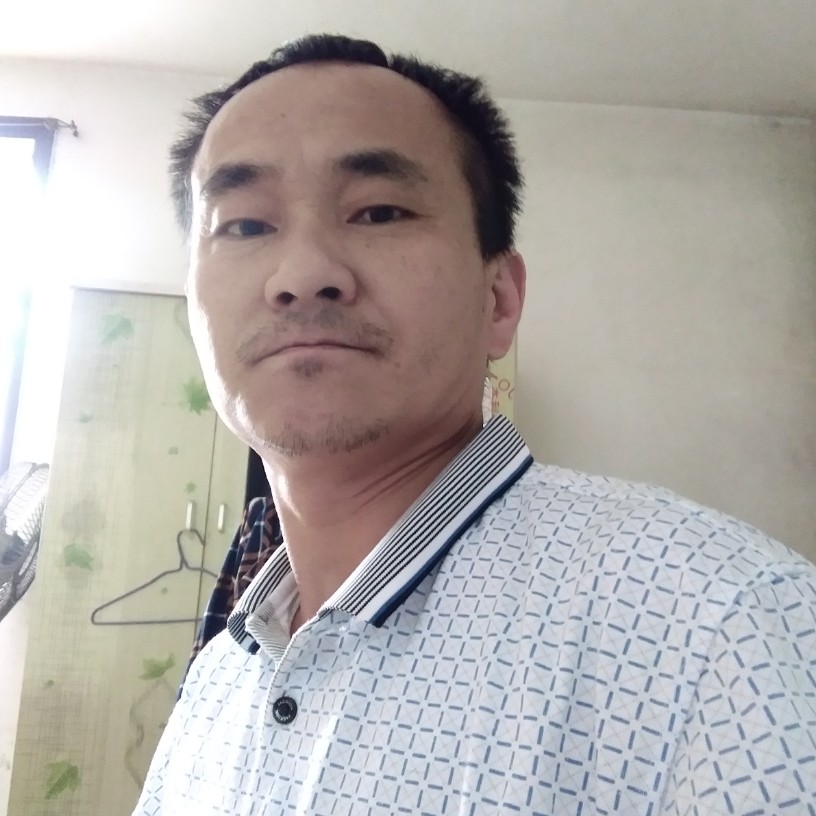 鲜花向明媚的照片