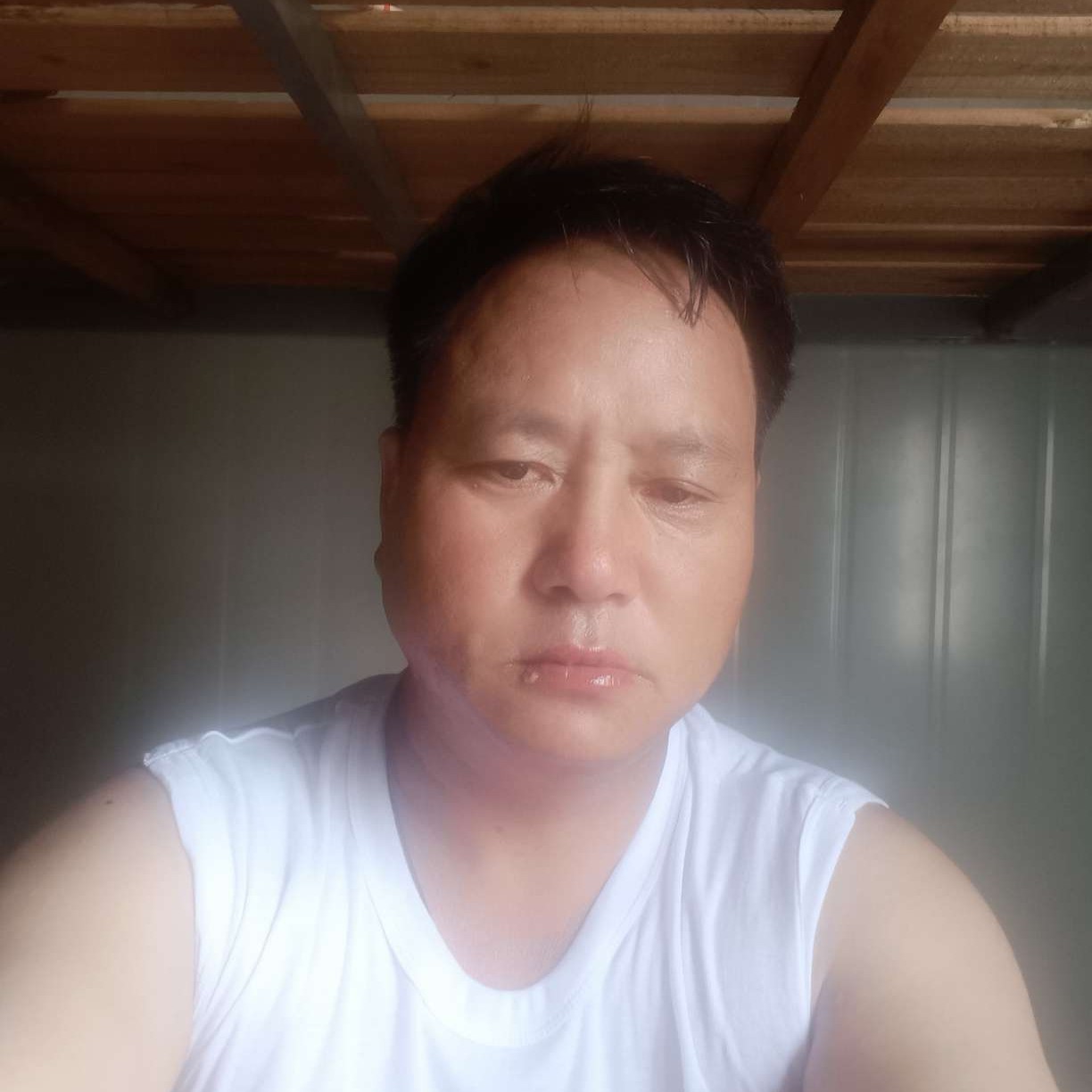 动向的照片