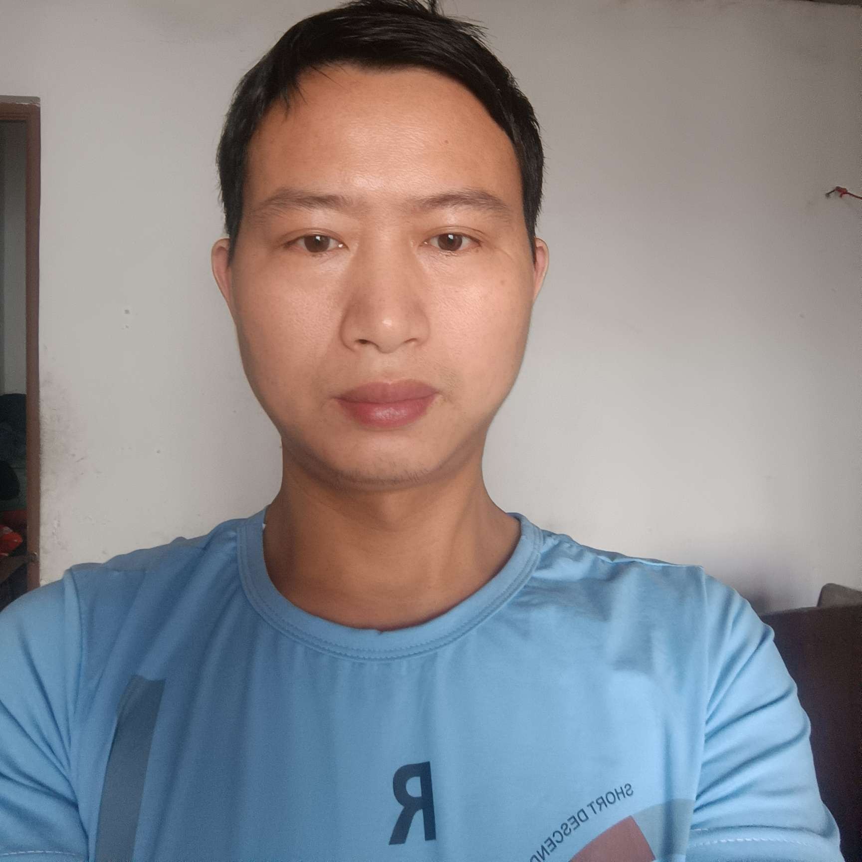 风中挽手树叶的照片