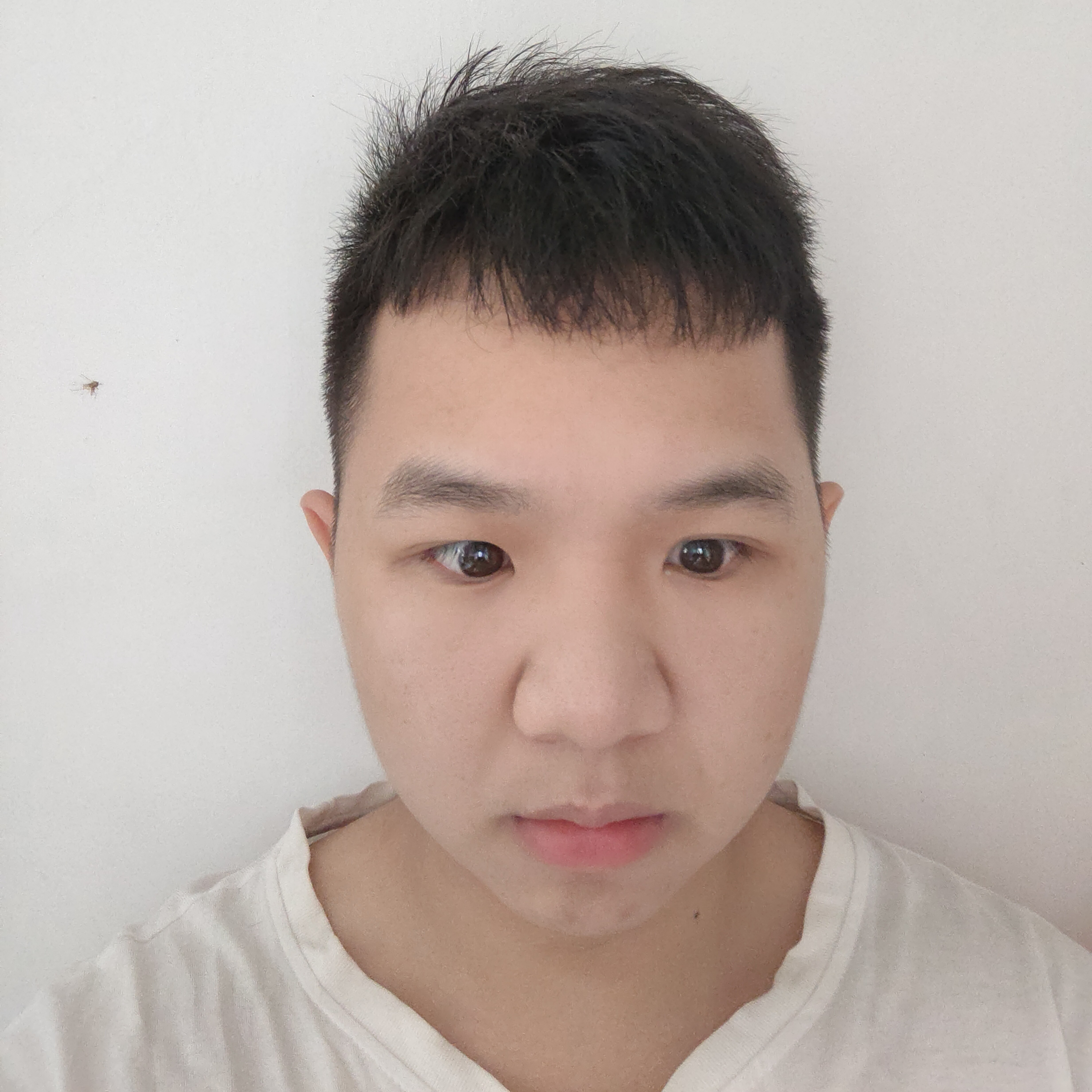 孤單泪了咖啡豆的照片