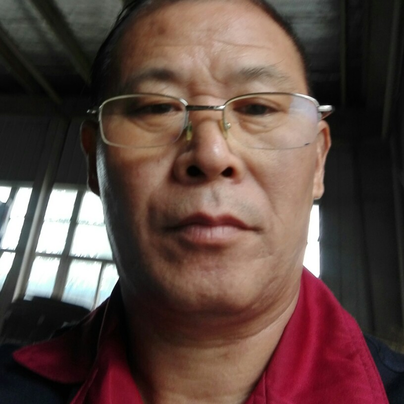 江边鸟的照片