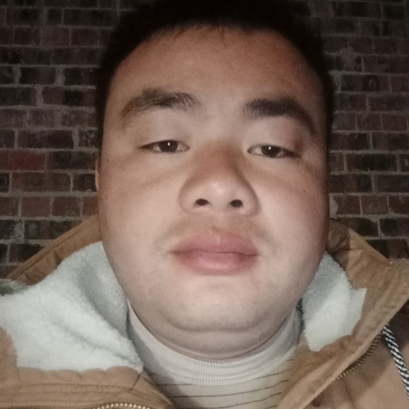 跳跃凝眸鸭子的照片