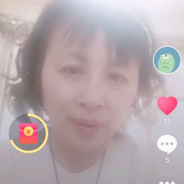 大气等待羊的照片