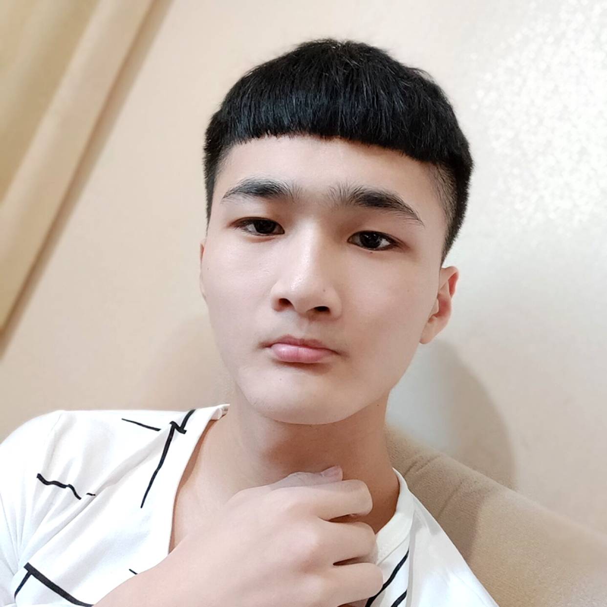 箛單板栗的照片