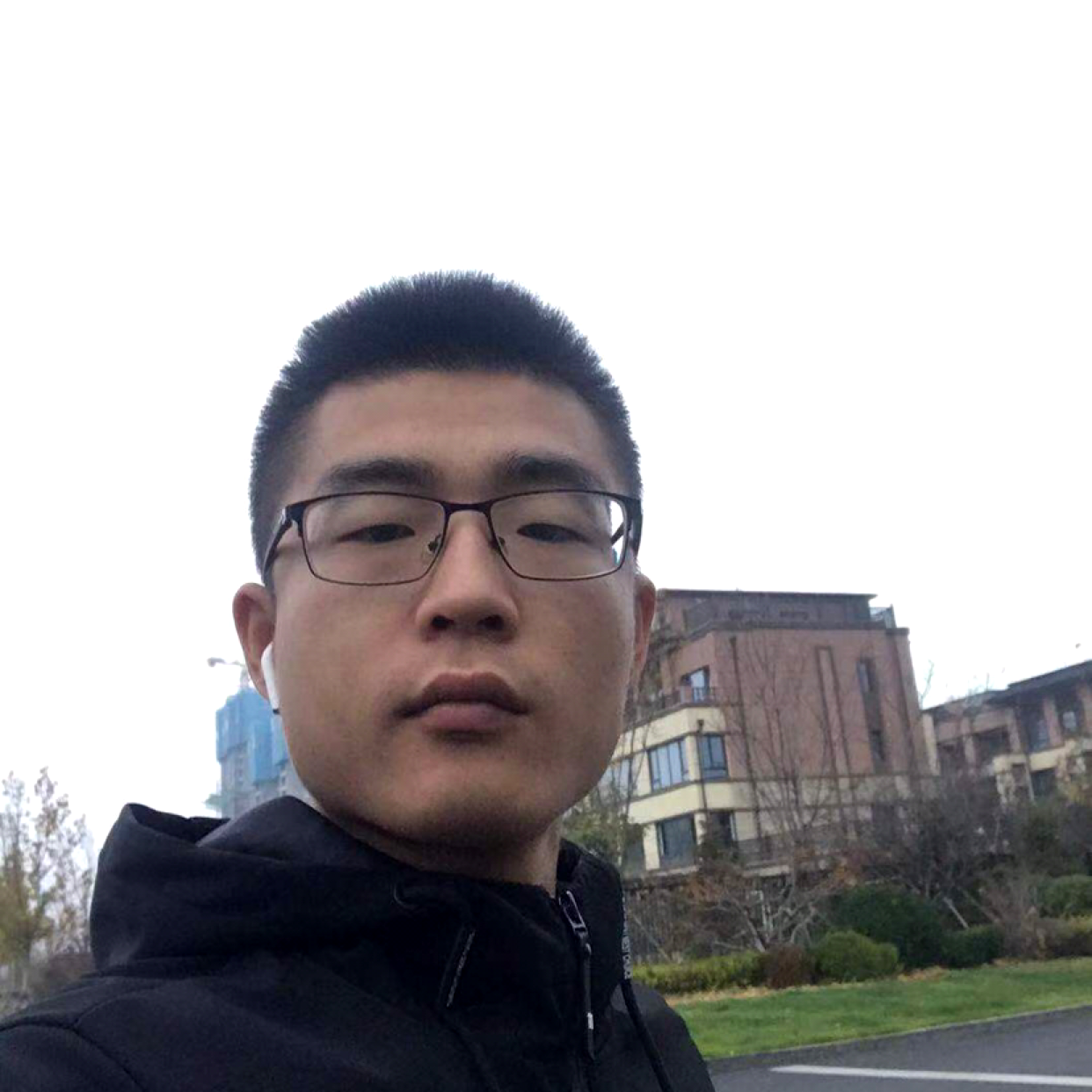 黑猫向懵懂的照片